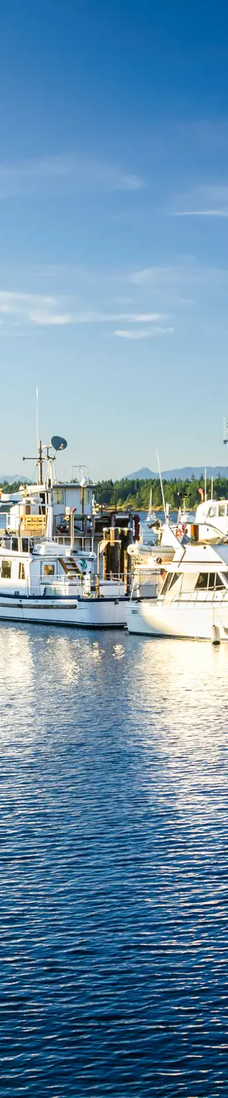 Erlebe wilde Abenteuer in der Welt-Lachshauptstadt